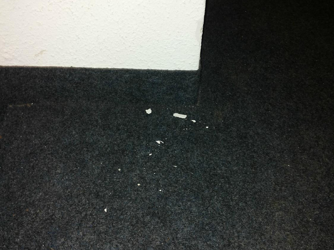 Hotel Gasthof Alter Wirt主图