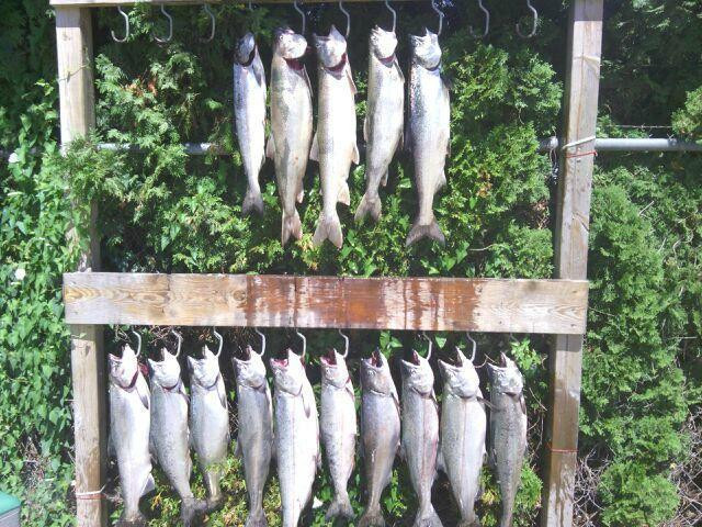 Bending Limits Sportfishing Charters景点图片