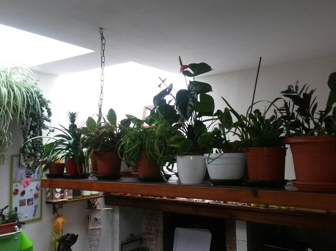 B&B Le Magnolie主图