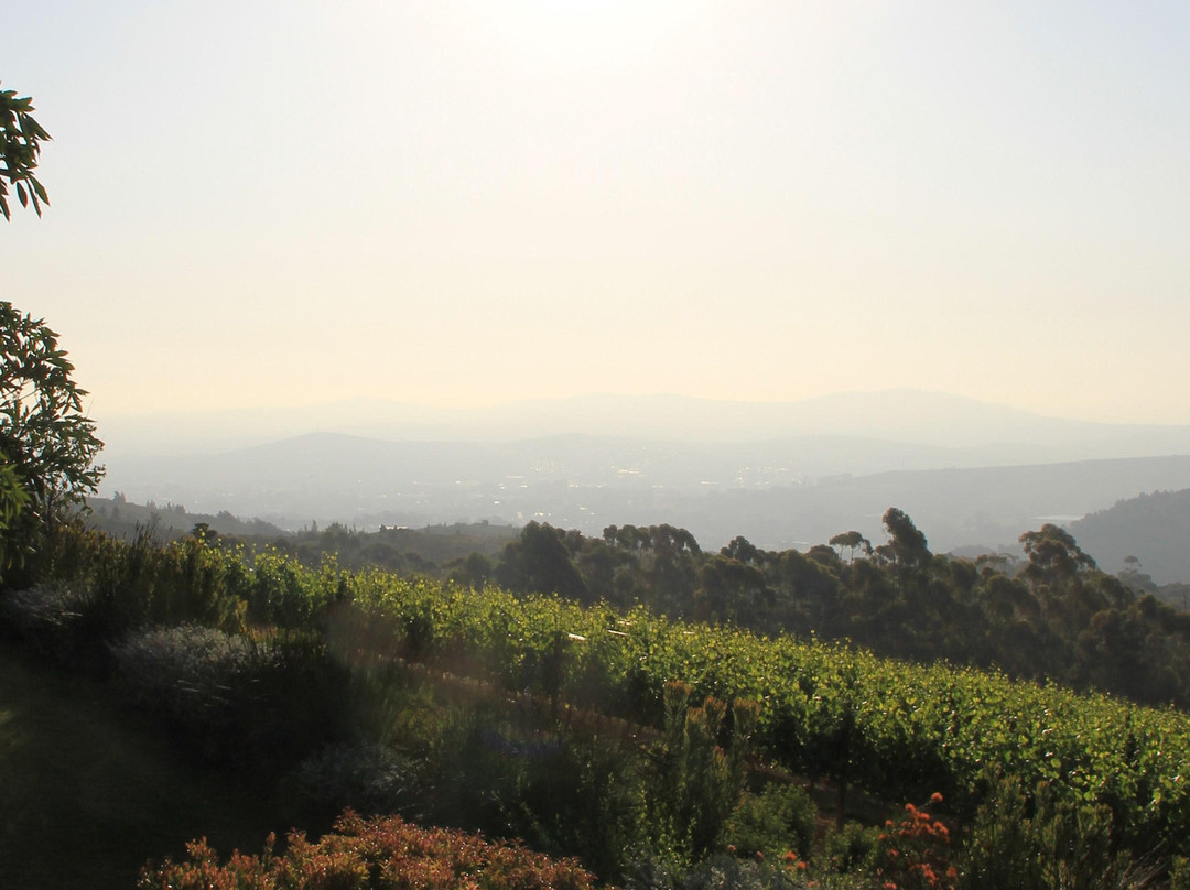 Delaire Graff Estate-斯泰伦博斯必去景点