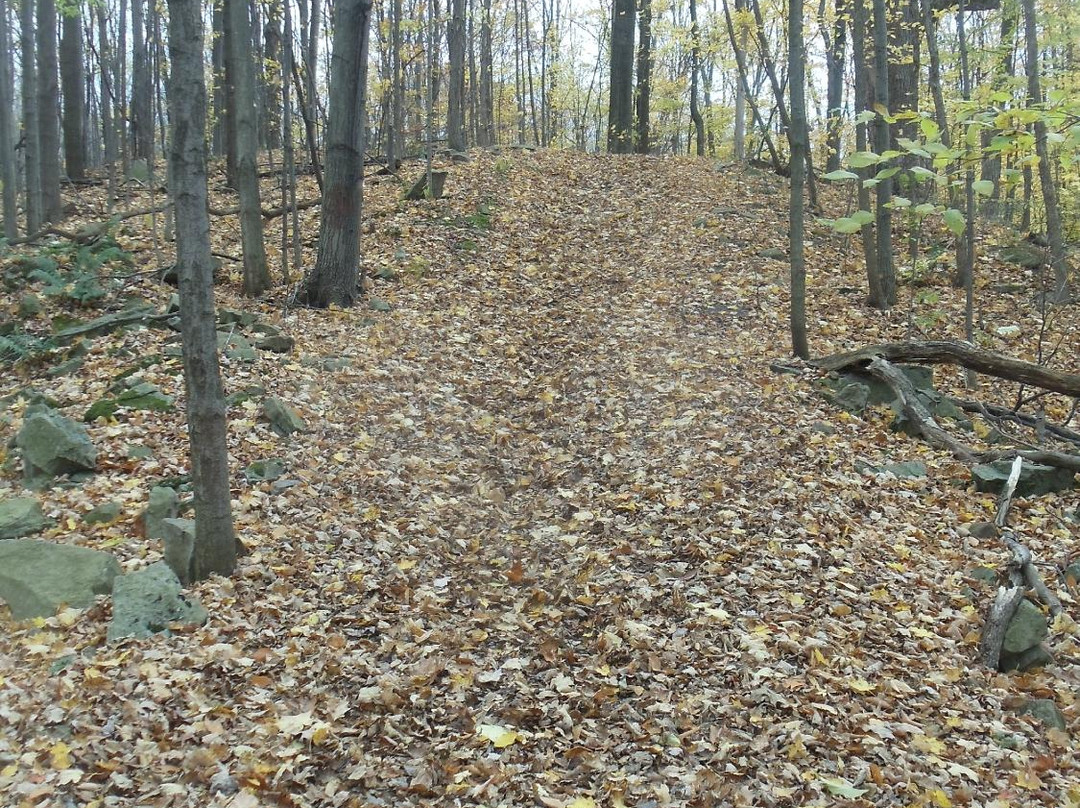 Town of Lockport Nature Trail景点图片