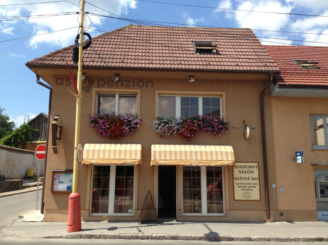 Opatovce nad Nitrou酒店住宿-Asso Penzion