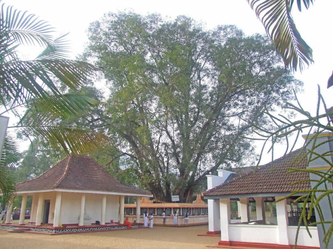 Muthiyangana Raja Maha Viharaya-Badulla必去景点