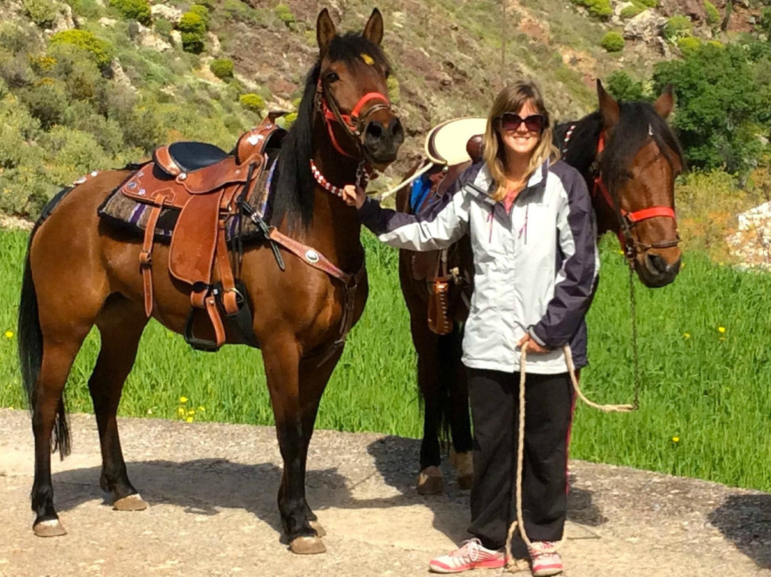 Harriets Hydra Horses-Hydra Town必去景点