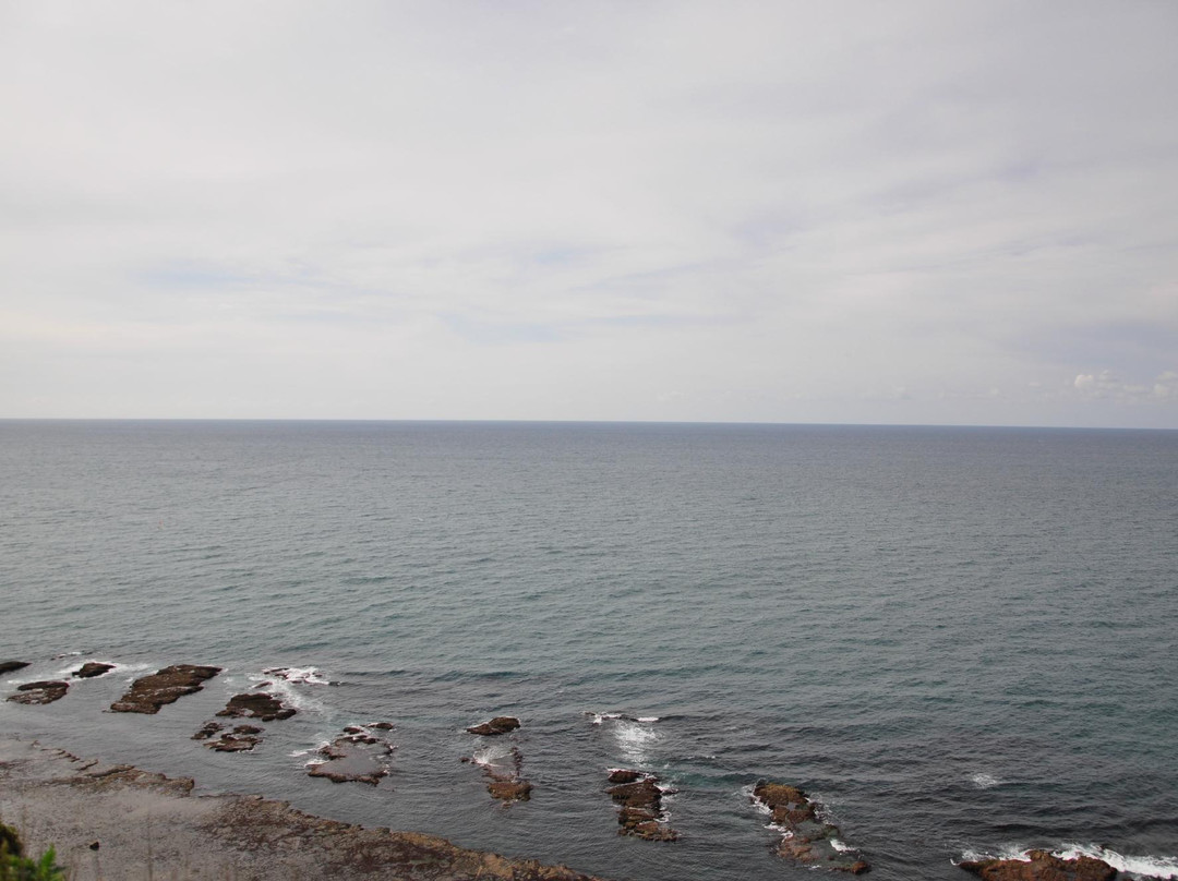 Enrumu Misaki Park Observatory-样似町必去景点