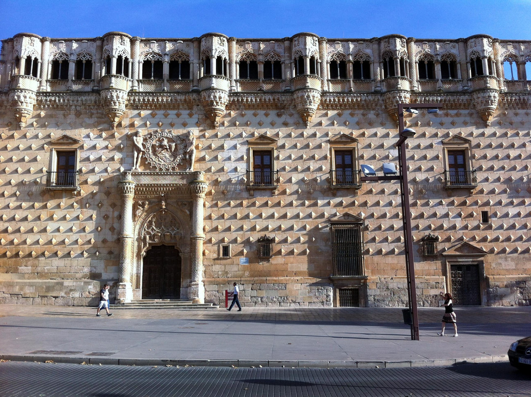 Palacio del Infantado景点图片