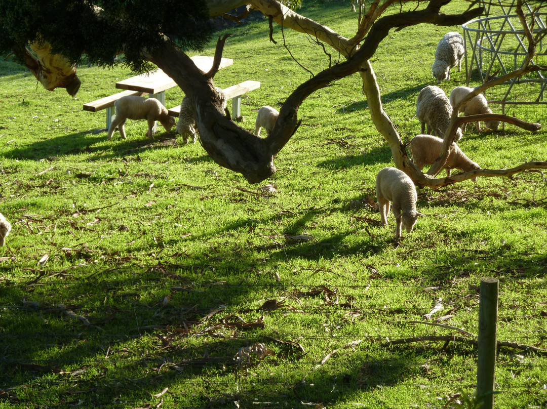 Morella Farm B&B主图