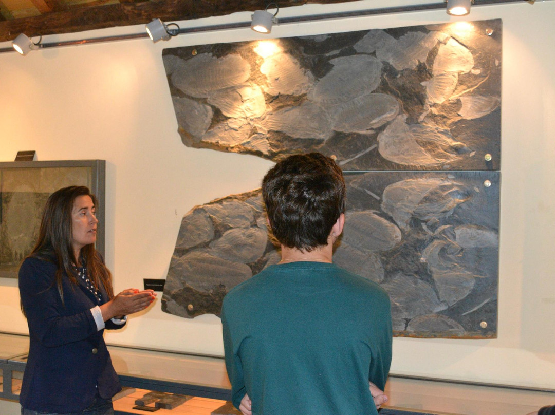 CIGC- Centro de Interpretacao Geologica de Canelas-Arouca景点图片