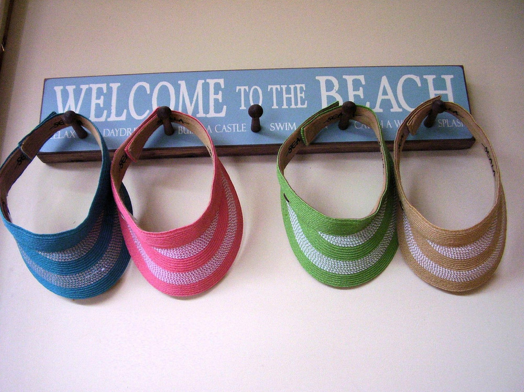 The Lazy Lizard-棕榈/鹰海滩必去景点