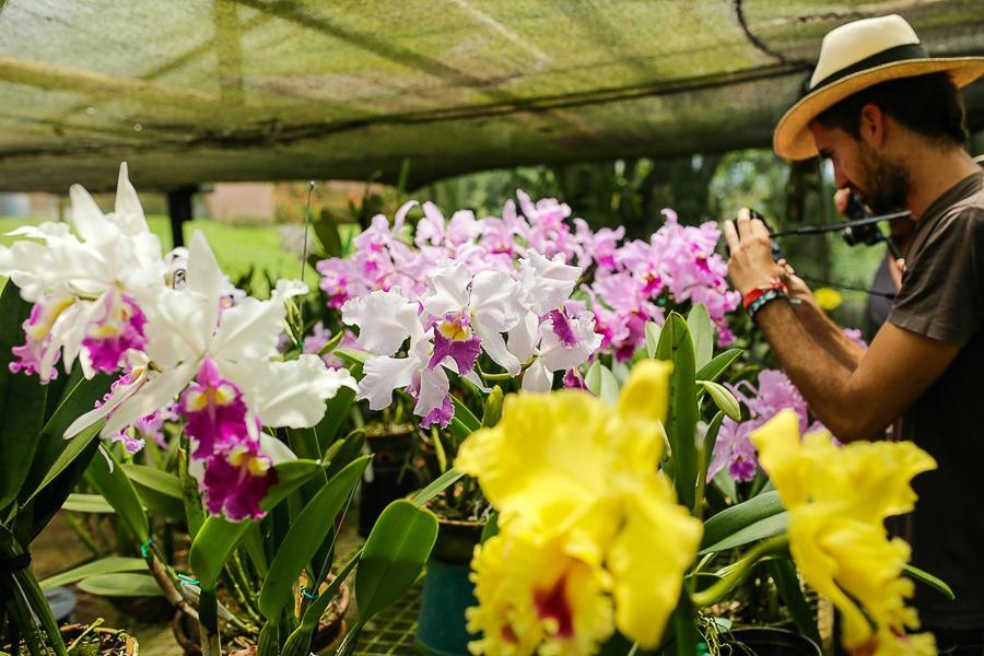 Orchids & Birds Finca Romelia-Manizales必去景点