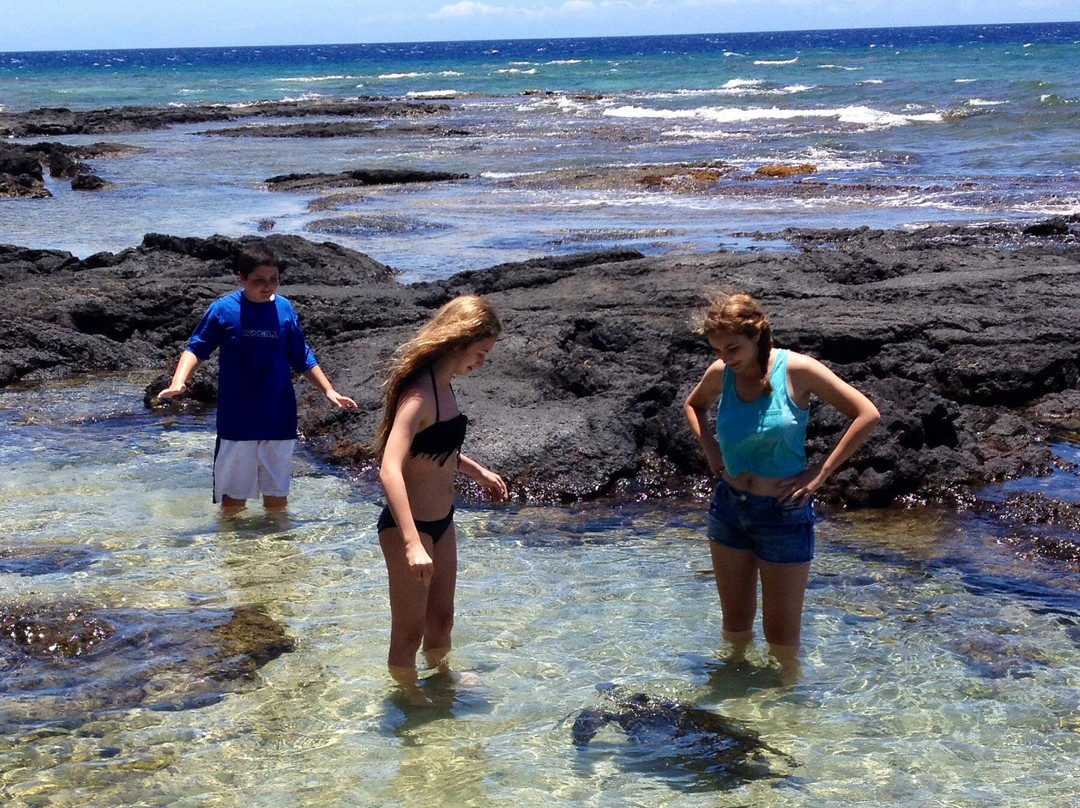 Puako Bay-普阿克必去景点