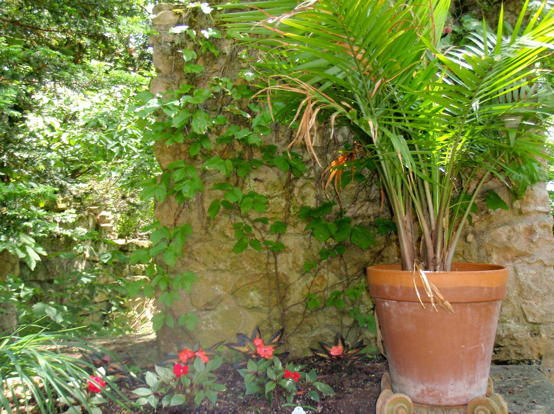 Linmar Gardens-加利纳必去景点