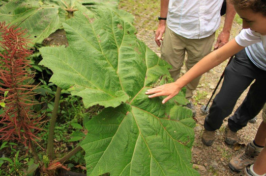 Monteverde Wildlife  Tour-圣埃伦娜必去景点