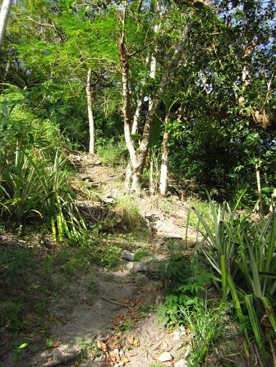 David's Trek-Apo Island必去景点