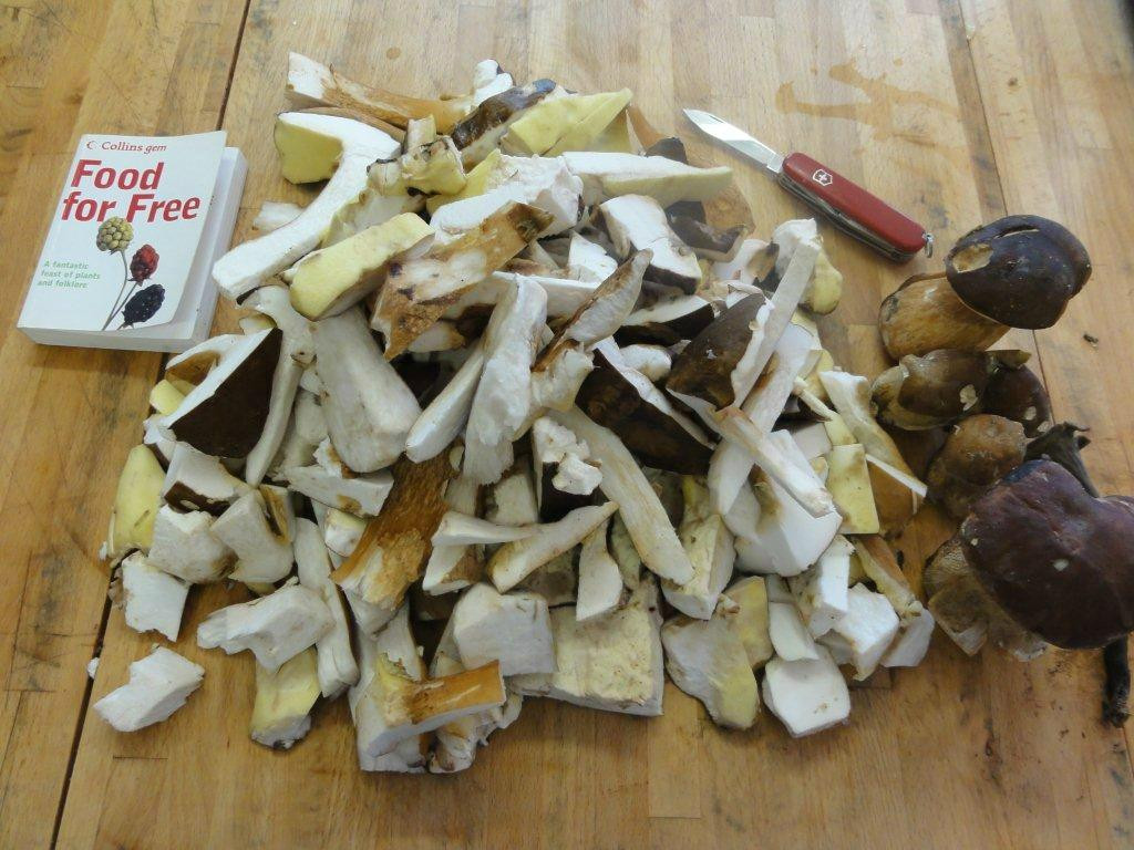 Cook Dordogne景点图片
