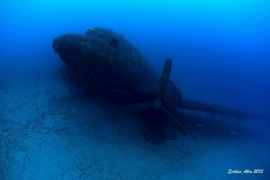 Kurbaga Adam Dalis Merkezi-伊斯坦布尔必去景点