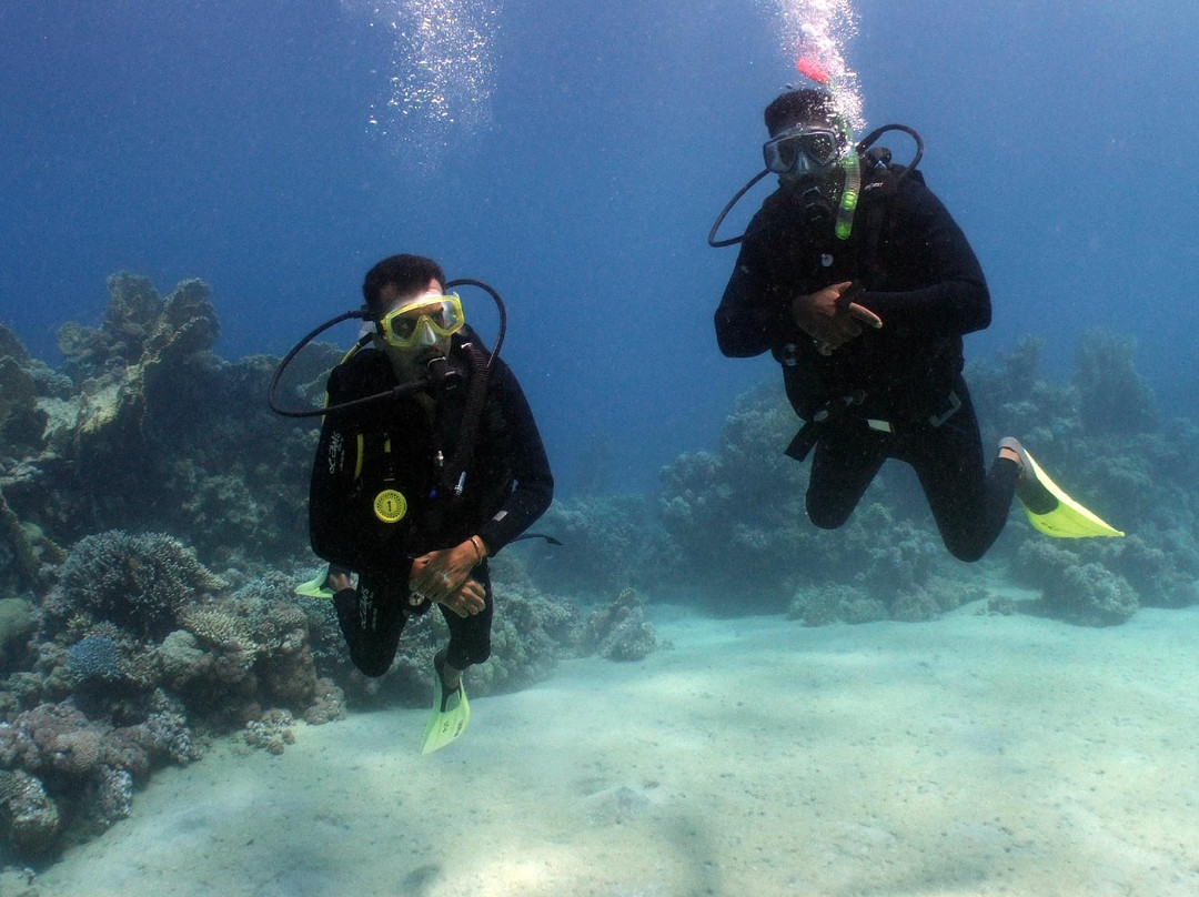 Sha'ab Marsa Alam-马萨阿拉姆必去景点