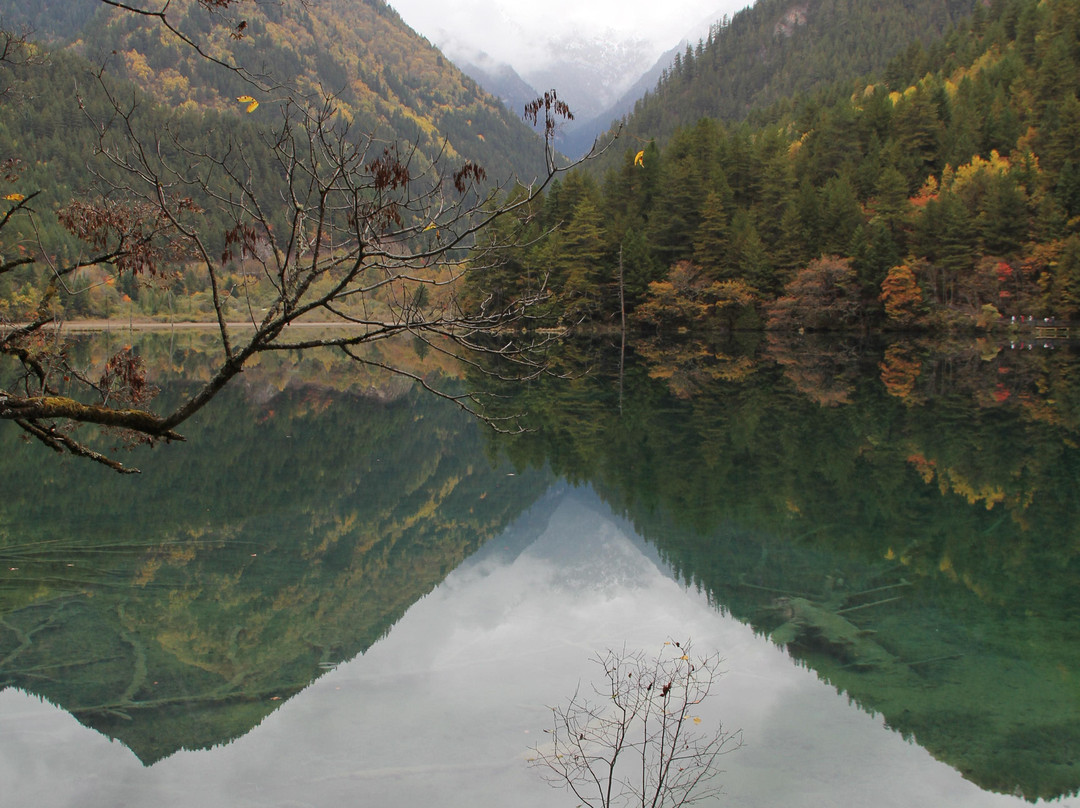 九寨沟宾馆主图