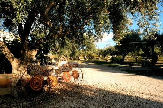 Personal Guide Sicily-巴勒莫必去景点