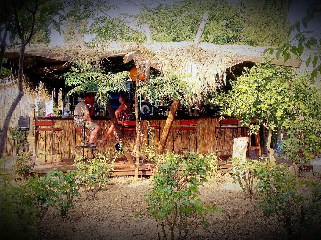 Roots Bar景点图片
