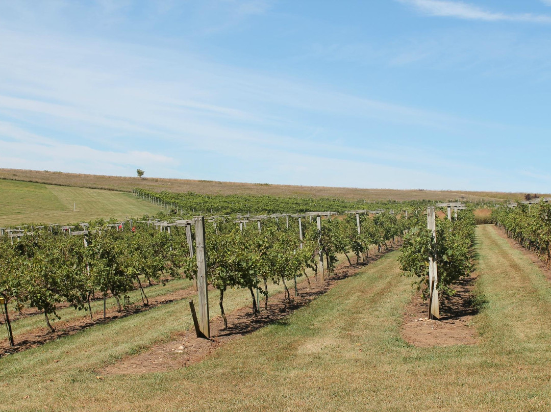 Botham Vineyards & Winery-Barneveld必去景点