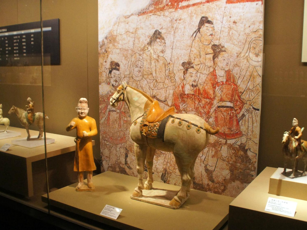 陕西历史博物馆-西安市必去景点