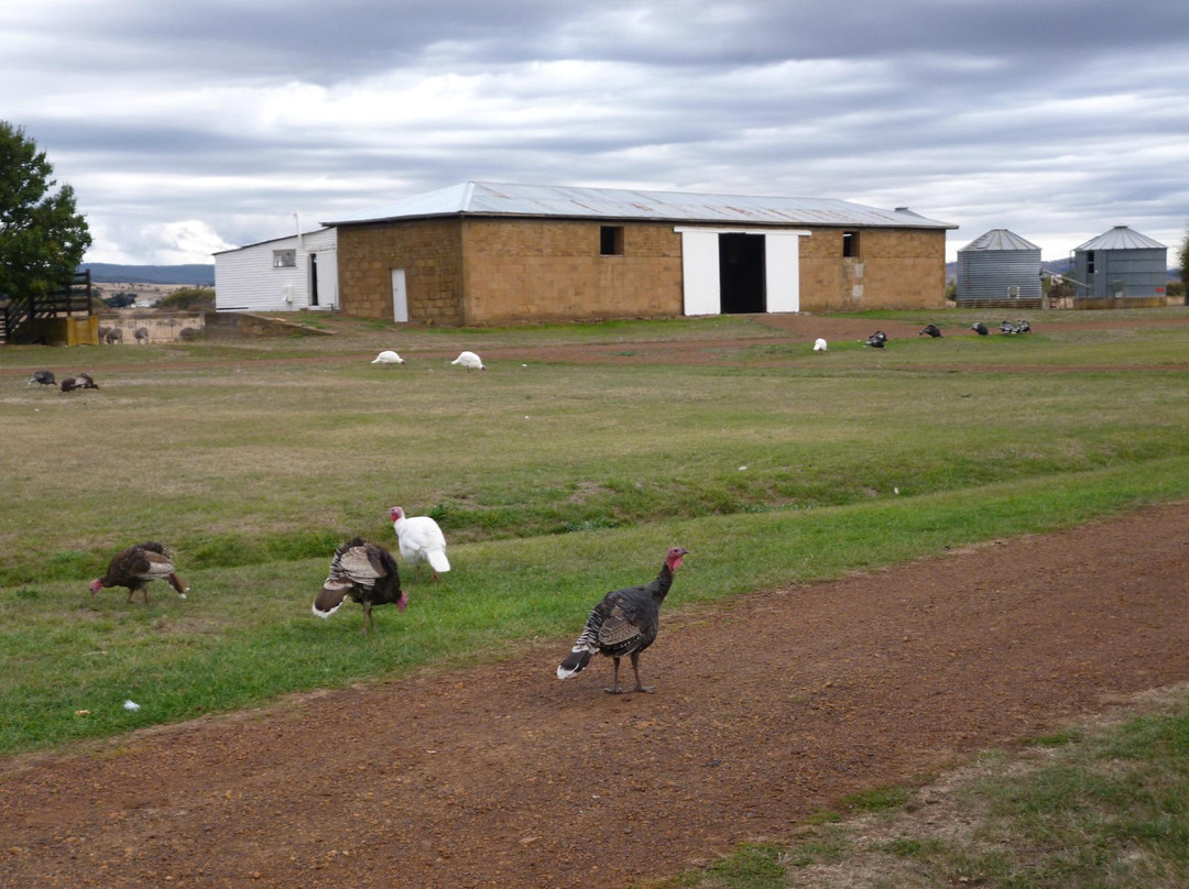 罗斯酒店住宿-Somercotes
