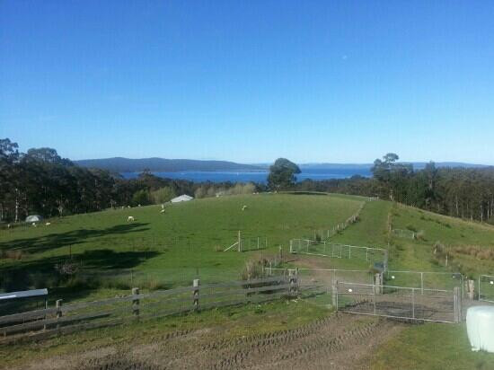 Grandvewe Cheeses-Birchs Bay必去景点