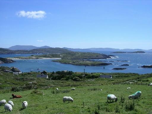 Kerry Experience Tours-Sneem必去景点