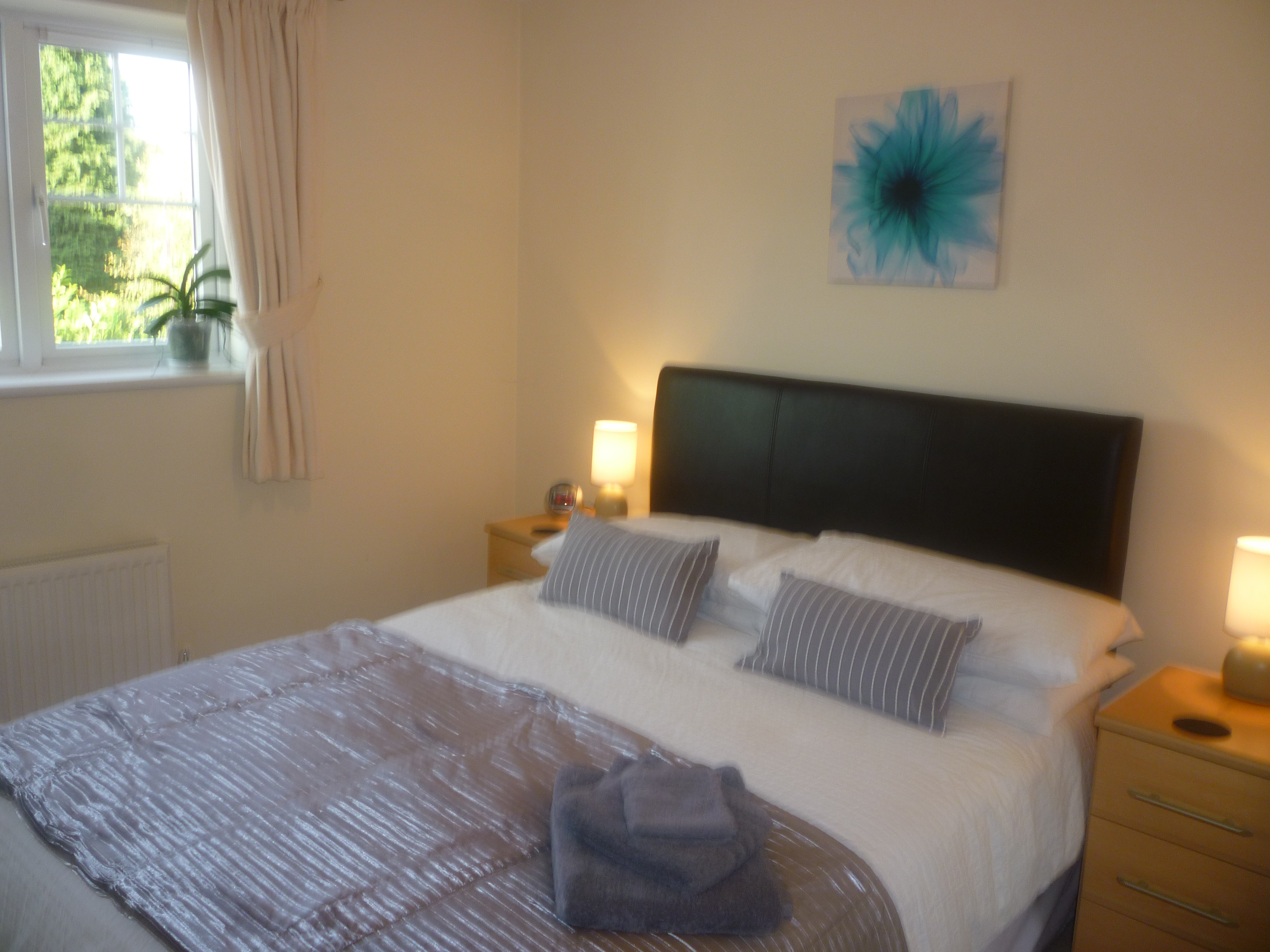 Orchid House B&B-官方