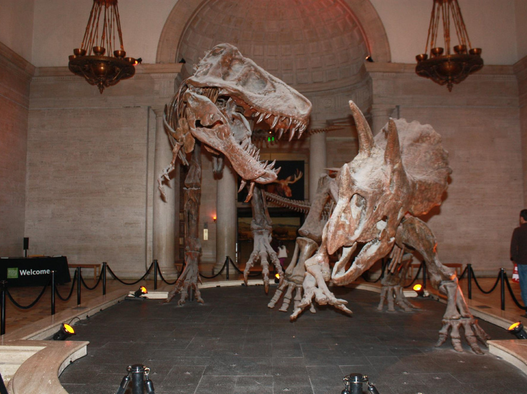 洛杉矶县自然历史博物馆-洛杉矶必去景点