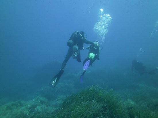 Ustica Diving-Ustica必去景点
