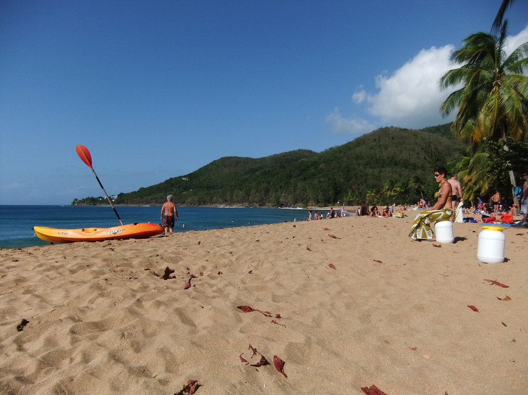 Mkg Centre Nautique-Deshaies必去景点