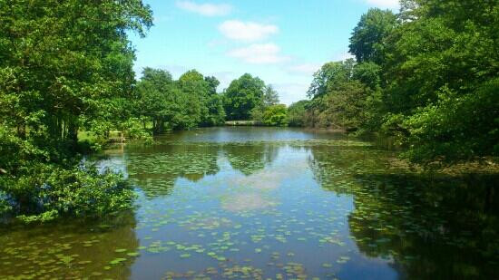 Chiddingstone Castle景点图片
