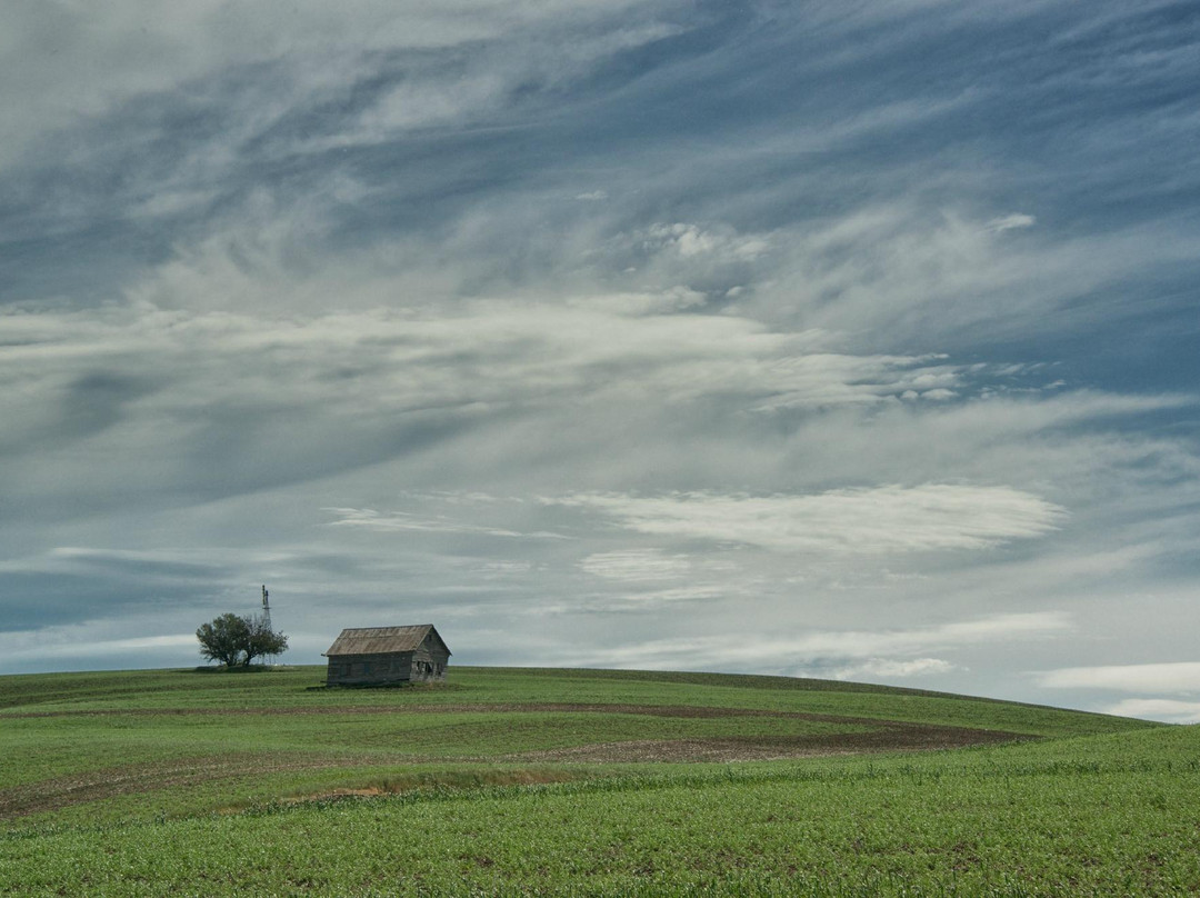 Palouse Tour-Colfax必去景点