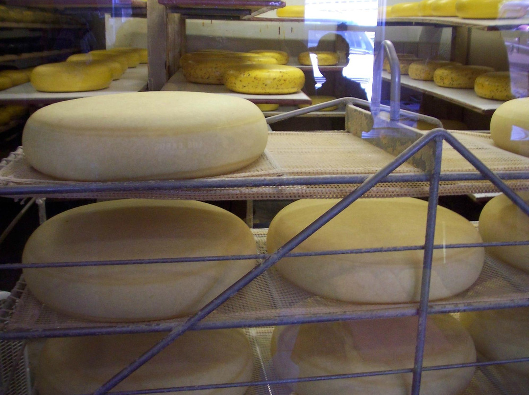 Thunder Oak Cheese Farm-McCluskeys Corners必去景点