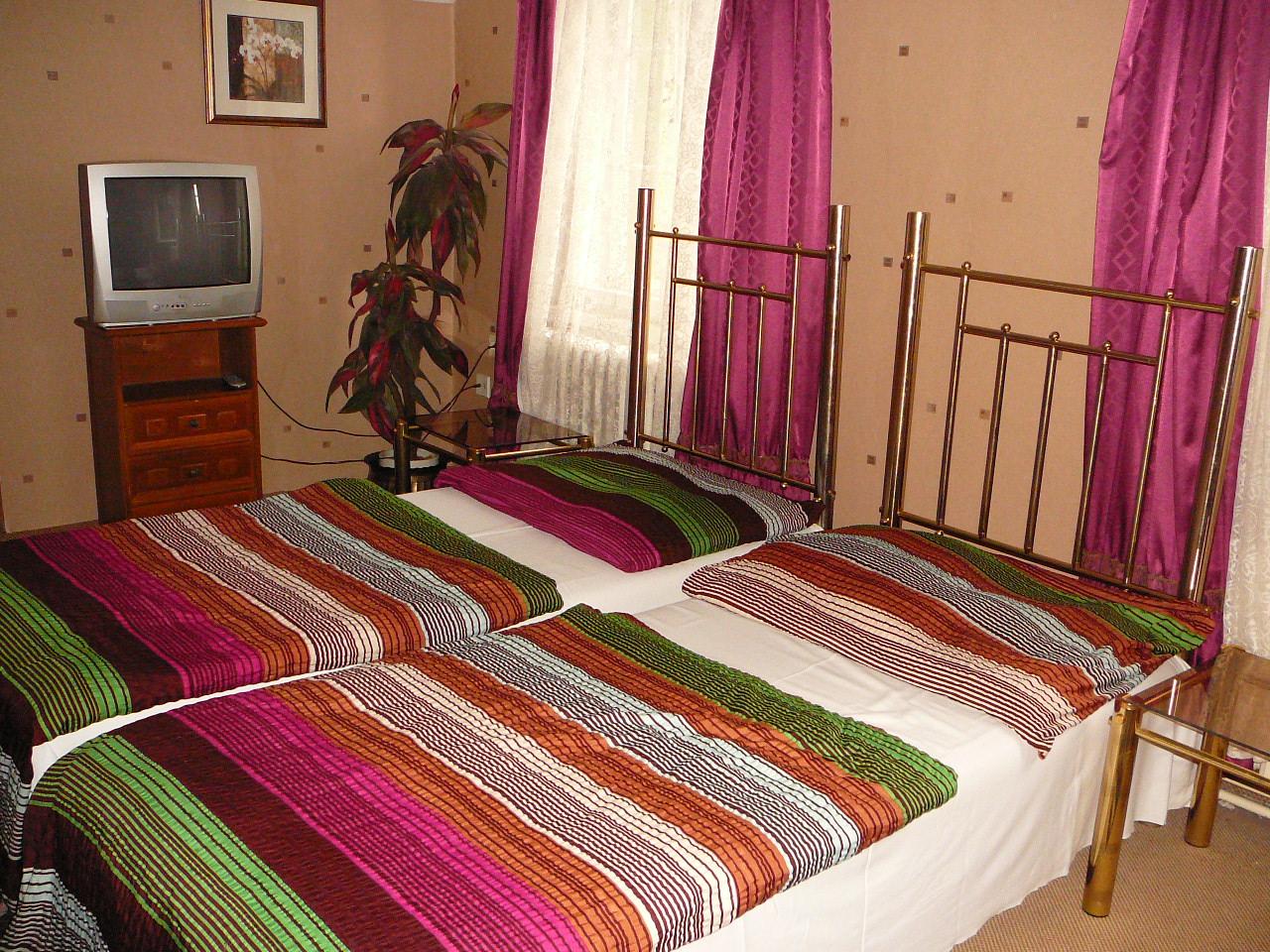 Hotel Green House Teplice-客卧