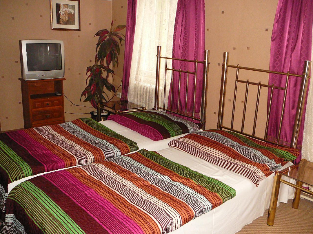 Hotel Green House Teplice主图