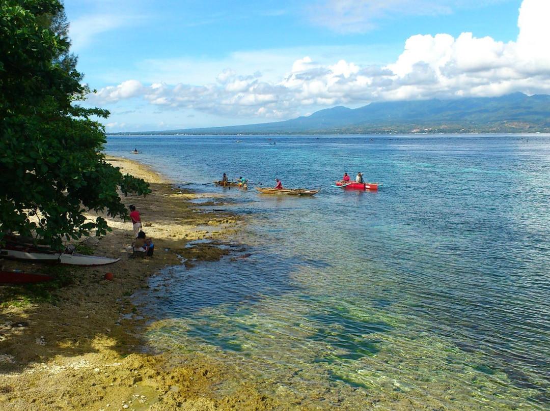 Bongavilla Beach Resort & Spa主图