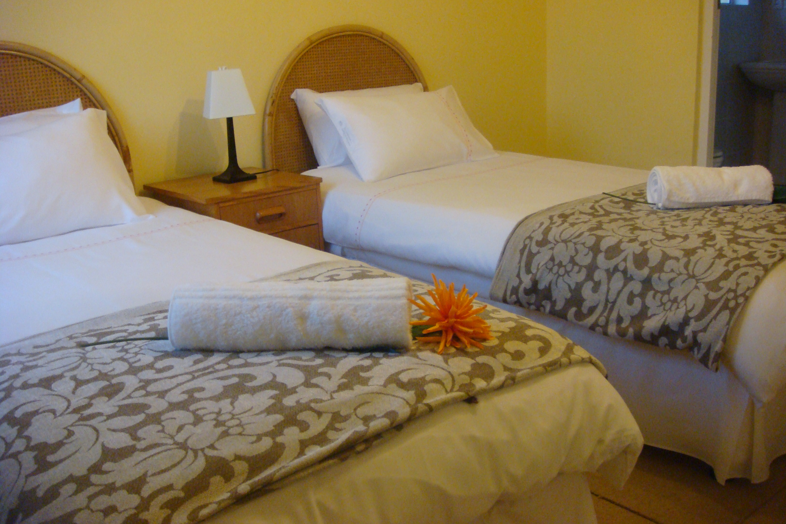 African Cycad Guest House-客卧