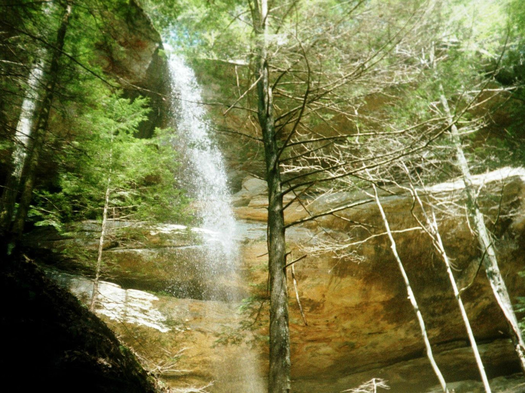 Blue Moon Acres-Laurelville必去景点