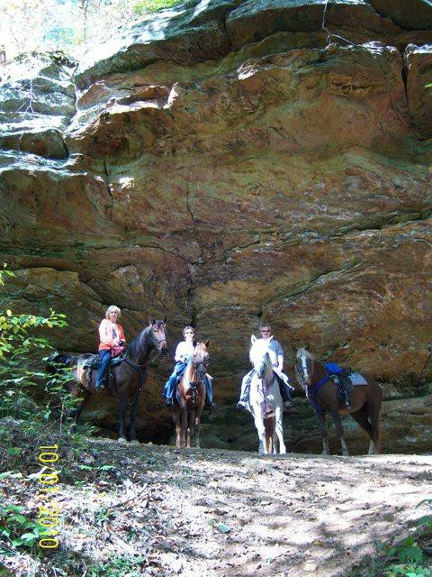 Blue Moon Acres-Laurelville必去景点