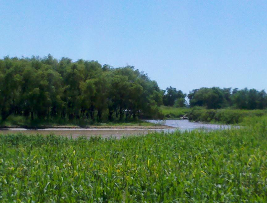 Hotel Yaguaron主图