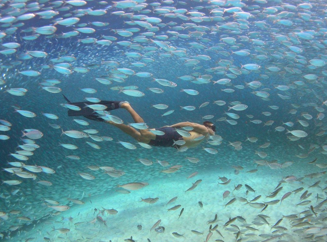 Flow-Kralendijk必去景点