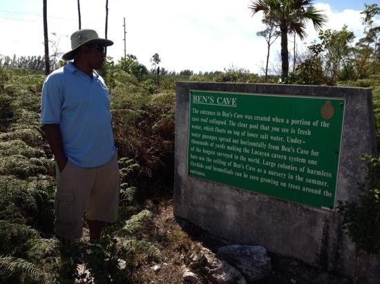 Bahamas Interisland Ecotours - Day Tours景点图片