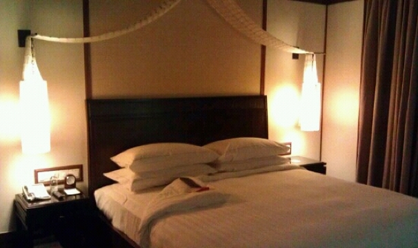 博鳌亚洲论坛大酒店-客卧