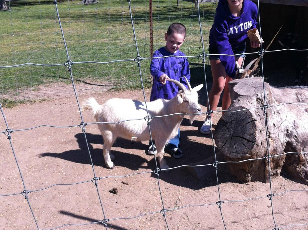 Old MacDonald's Farm-汉布尔必去景点