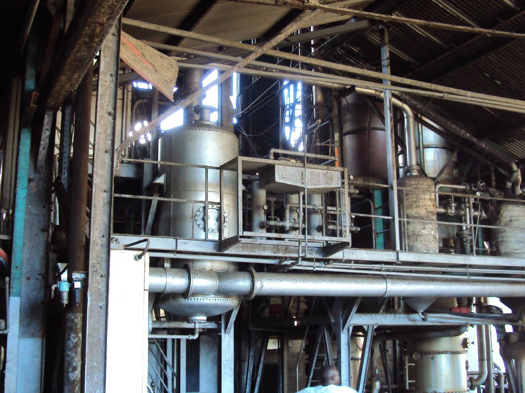 Distillerie du Rhum Montebello景点图片