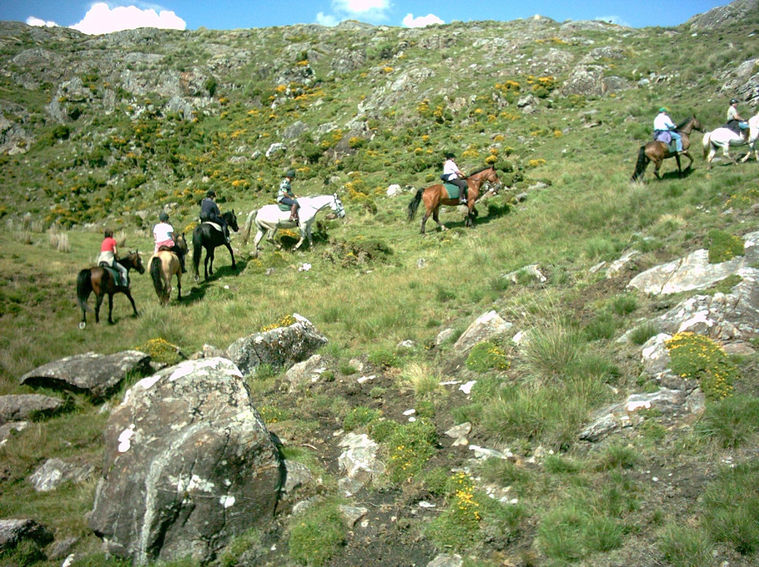 The Connemara Trail Tour-Loughrea必去景点