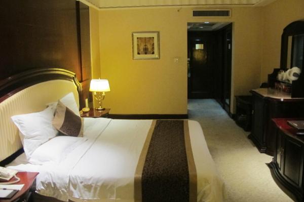 黄河大酒店-客卧